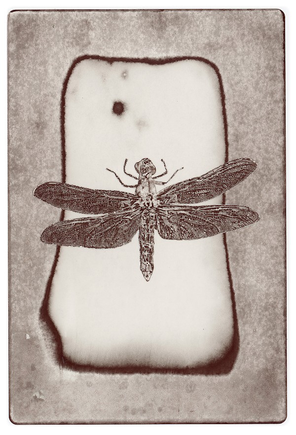 12d.jpg