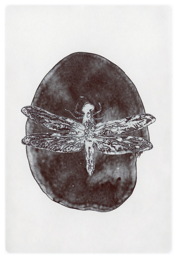 32d.jpg
