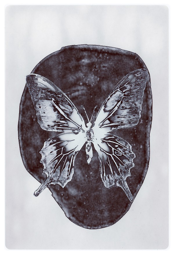 36b.jpg