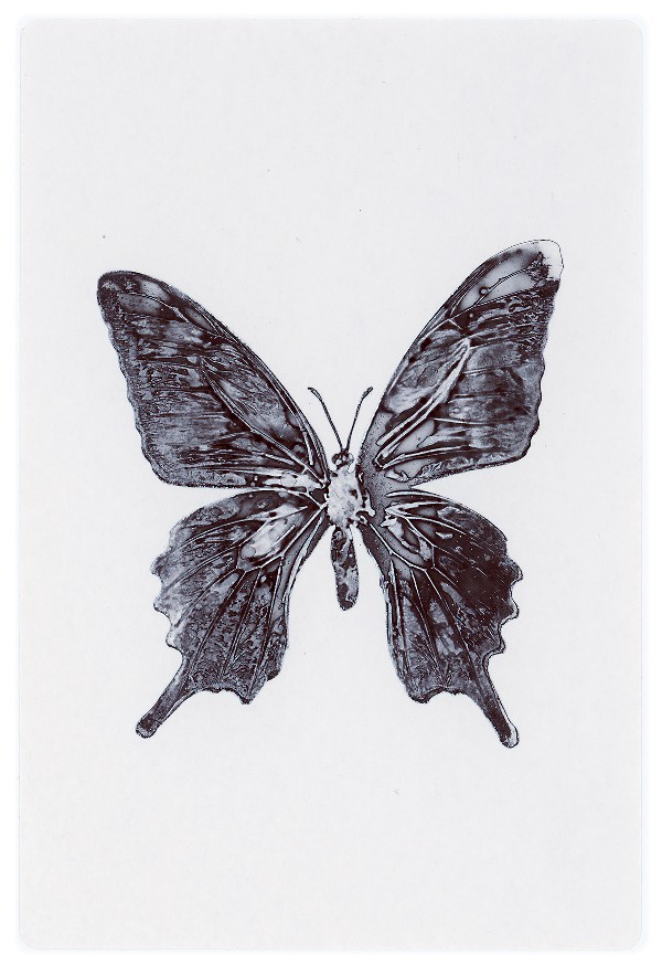 37b.jpg