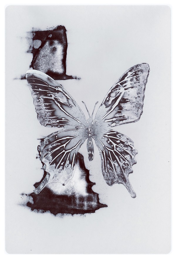 39b.jpg