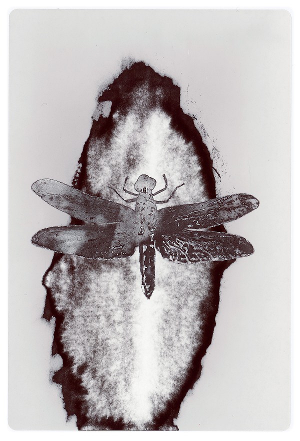 45d.jpg