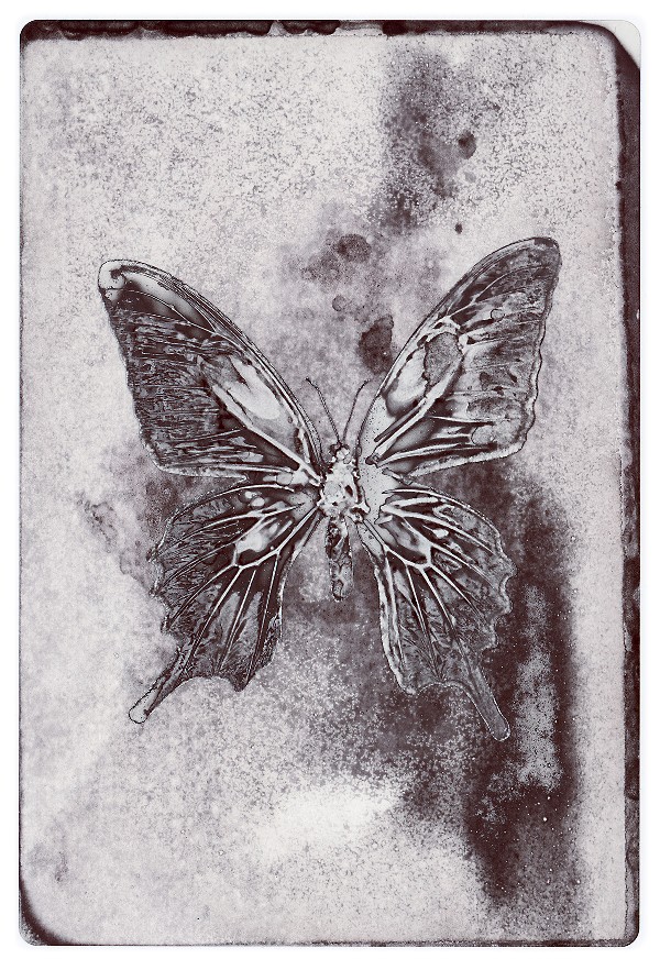 47b.jpg