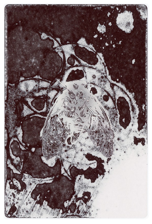 57c.jpg