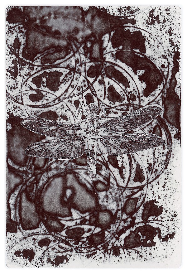 57d.jpg