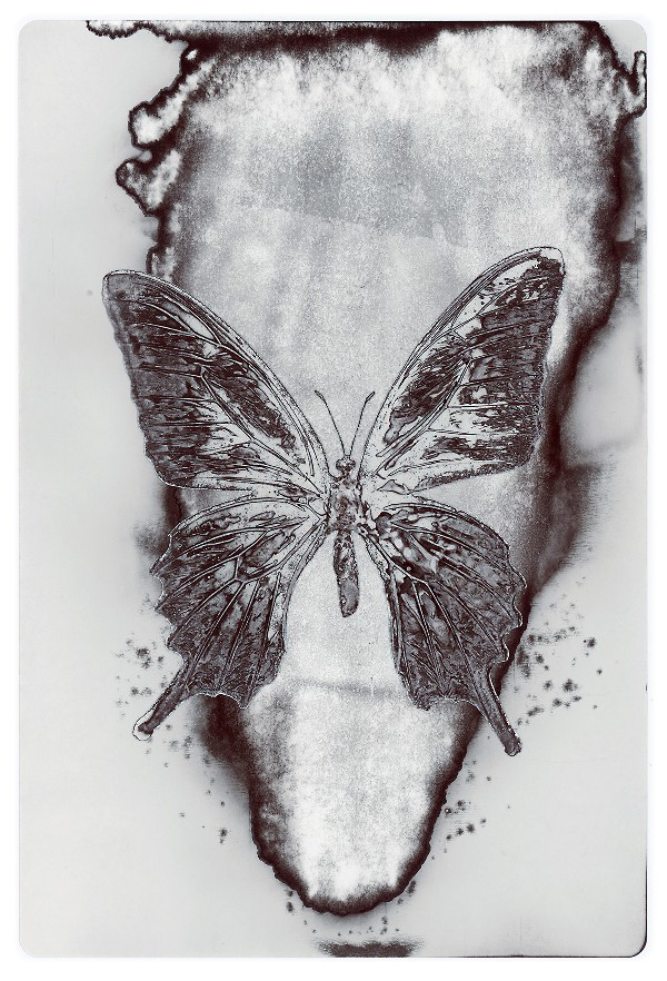 5b.jpg