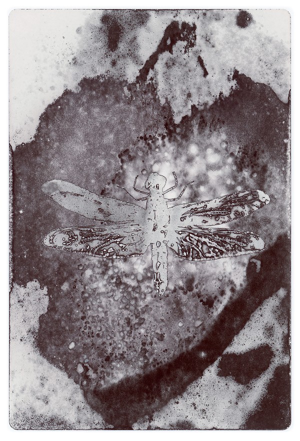 62d.jpg