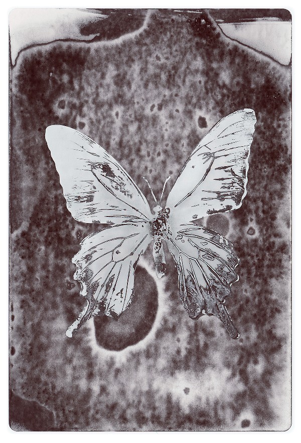 63b.jpg