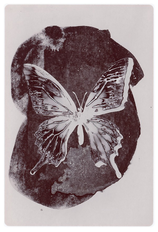 64b.jpg