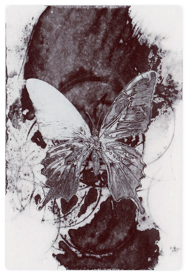 65b.jpg