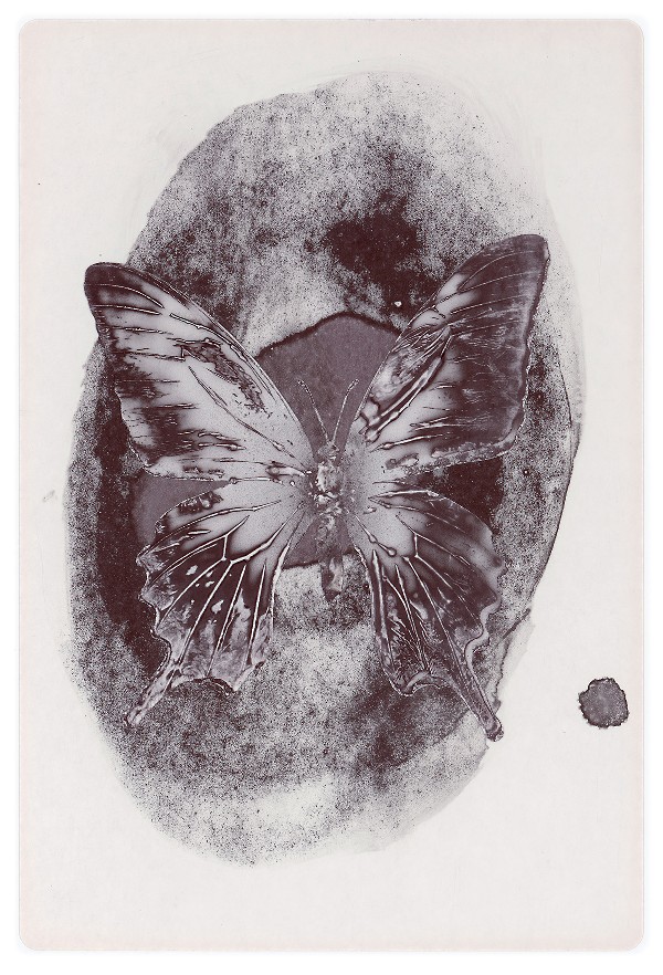 67b.jpg
