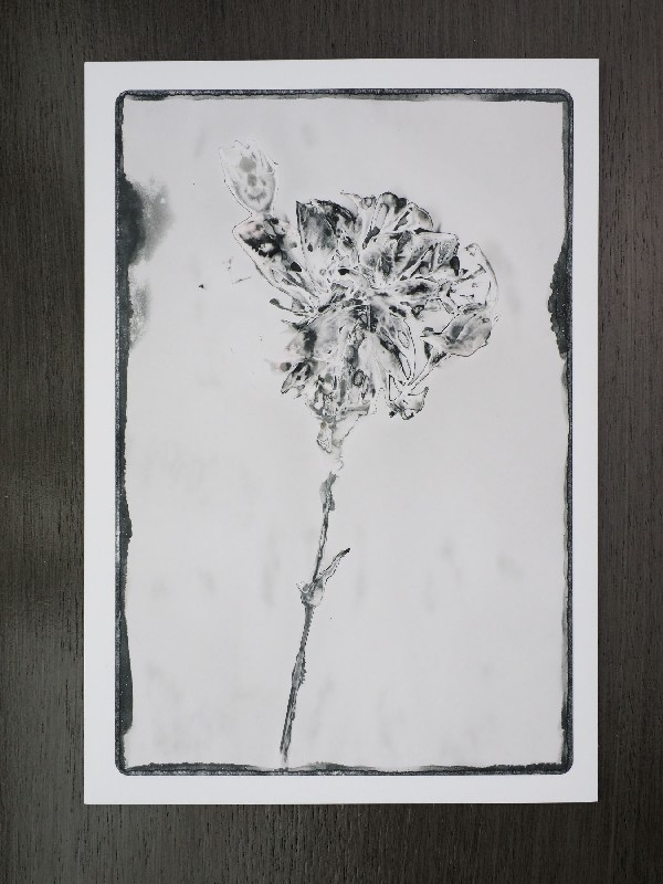 thermal-postcard1.JPG