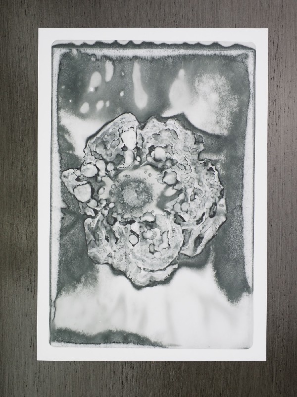 thermal-postcard10.JPG