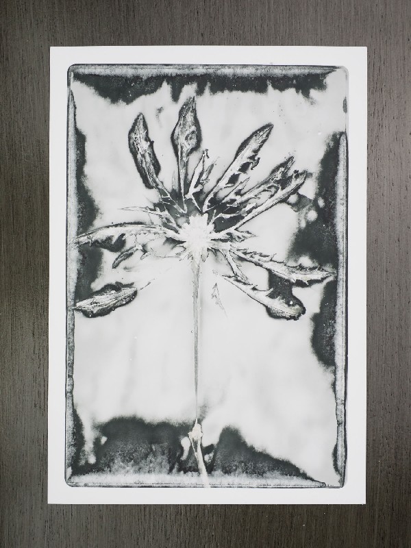 thermal-postcard100.JPG