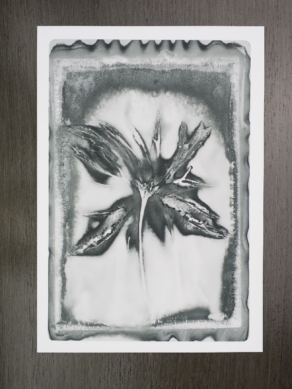 thermal-postcard11.JPG