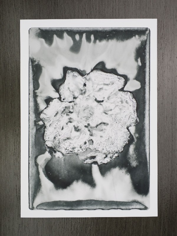 thermal-postcard13.JPG