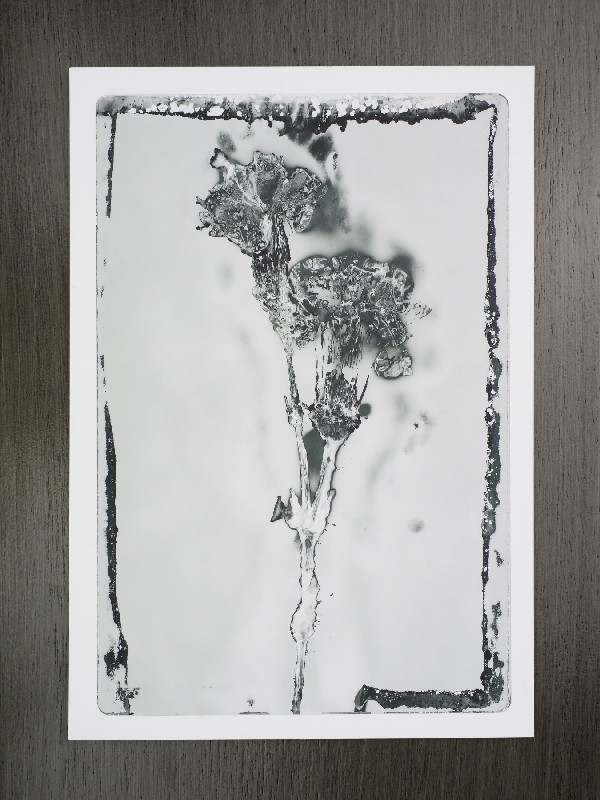 thermal-postcard14.JPG
