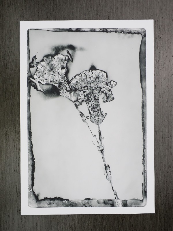 thermal-postcard17.JPG