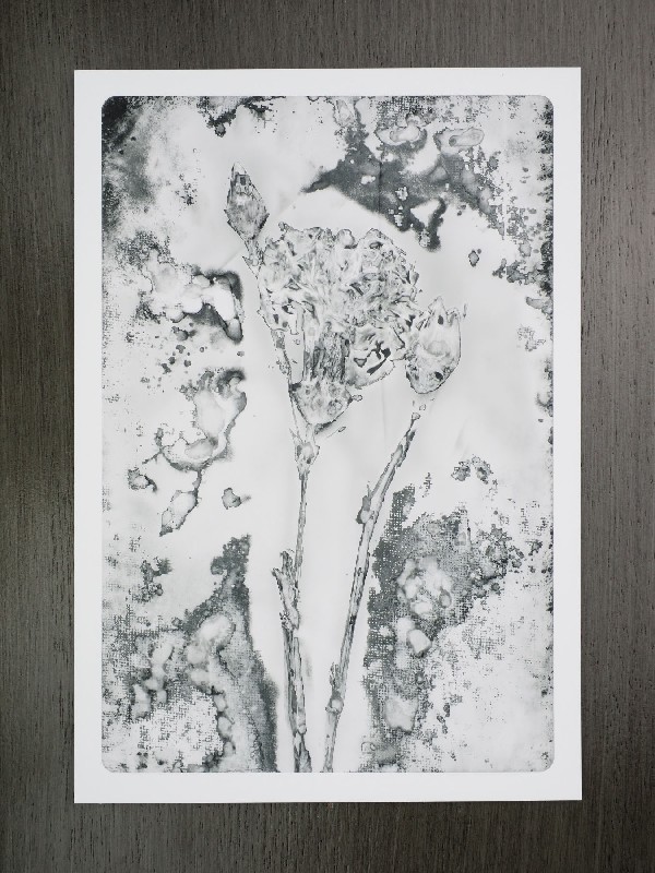 thermal-postcard18.JPG
