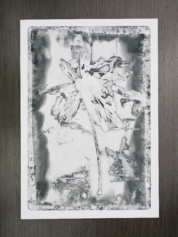 thermal-postcard19.JPG