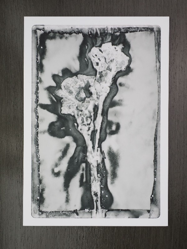 thermal-postcard2.JPG