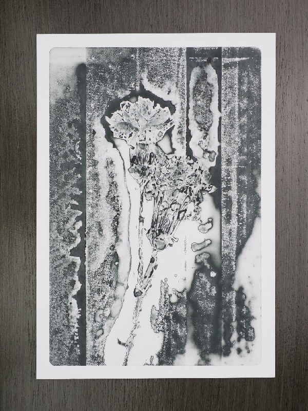 thermal-postcard20.JPG