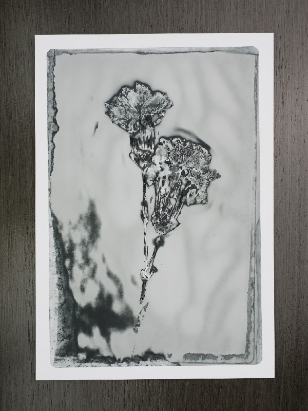 thermal-postcard21.JPG