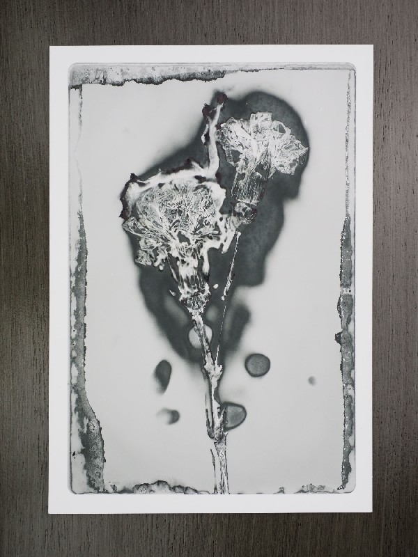 thermal-postcard23.JPG