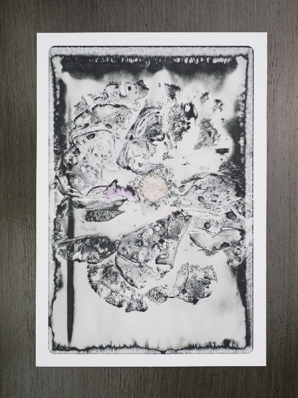 thermal-postcard24.JPG