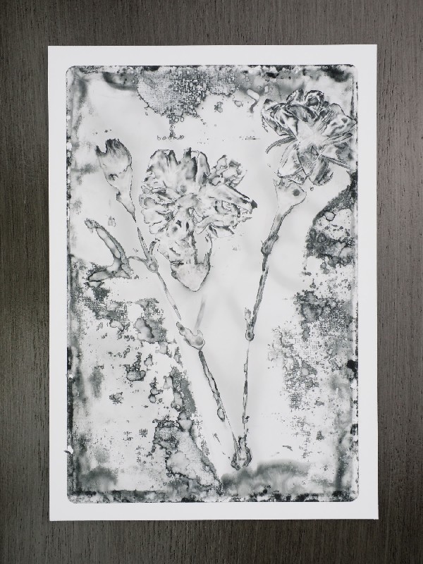 thermal-postcard26.JPG