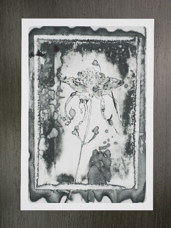 thermal-postcard28.JPG