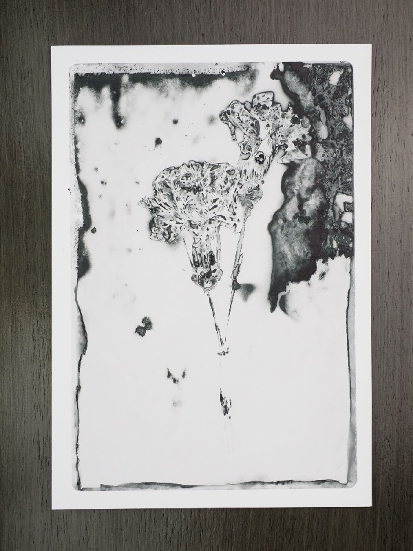 thermal-postcard29.JPG