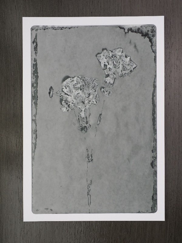 thermal-postcard3.JPG
