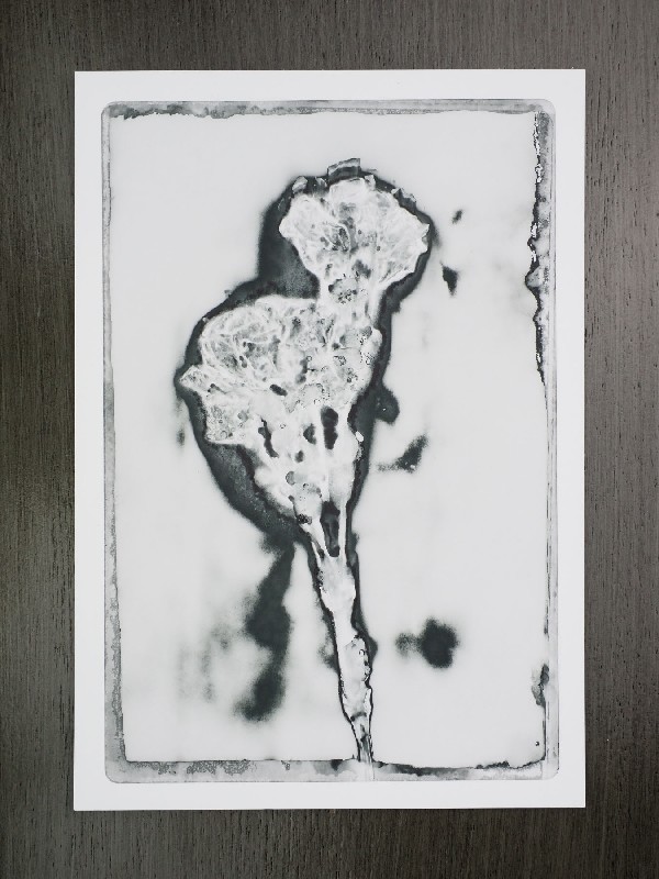 thermal-postcard30.JPG