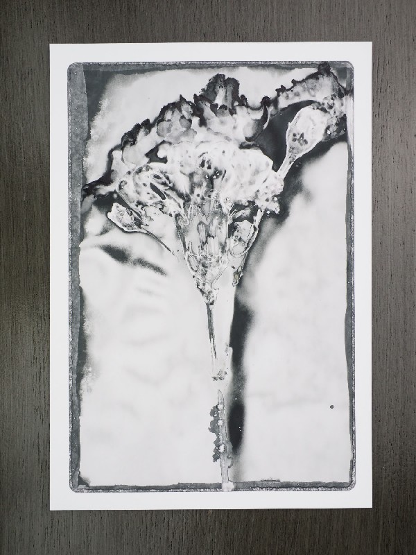 thermal-postcard31.JPG