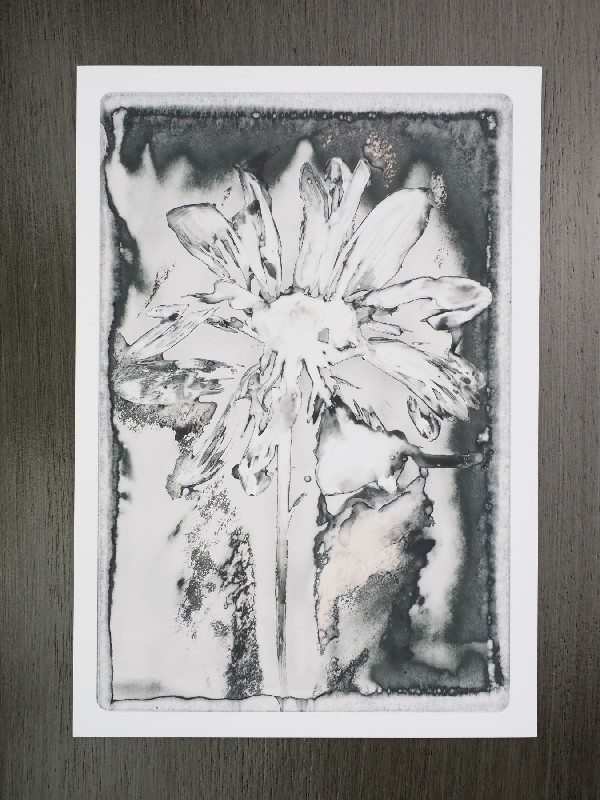 thermal-postcard32.JPG