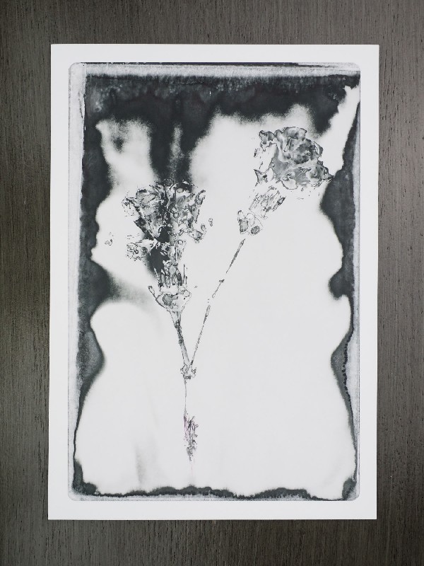 thermal-postcard33.JPG