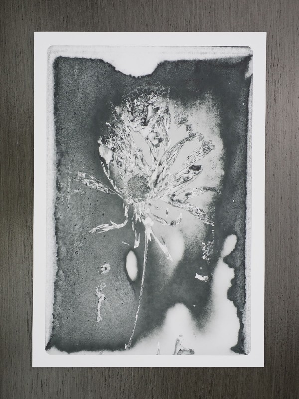 thermal-postcard34.JPG