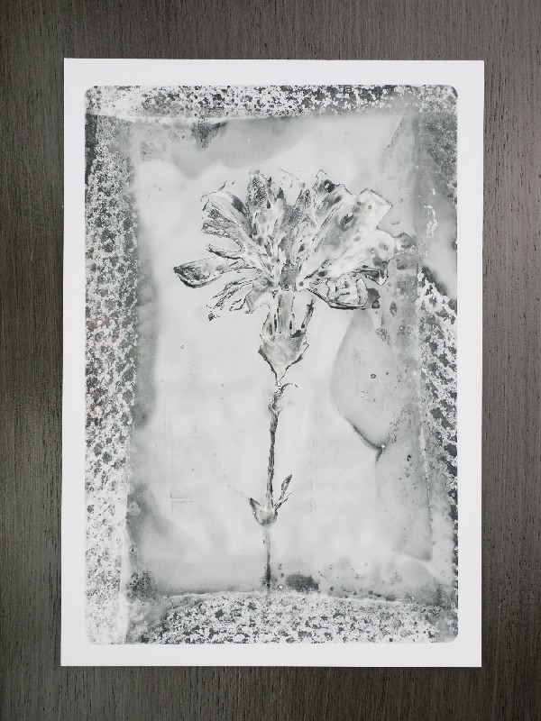 thermal-postcard35.JPG