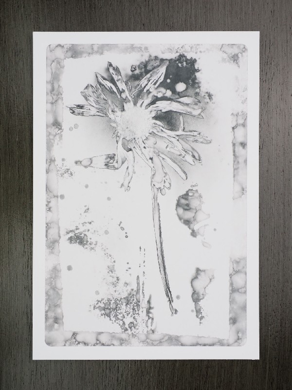 thermal-postcard37.JPG