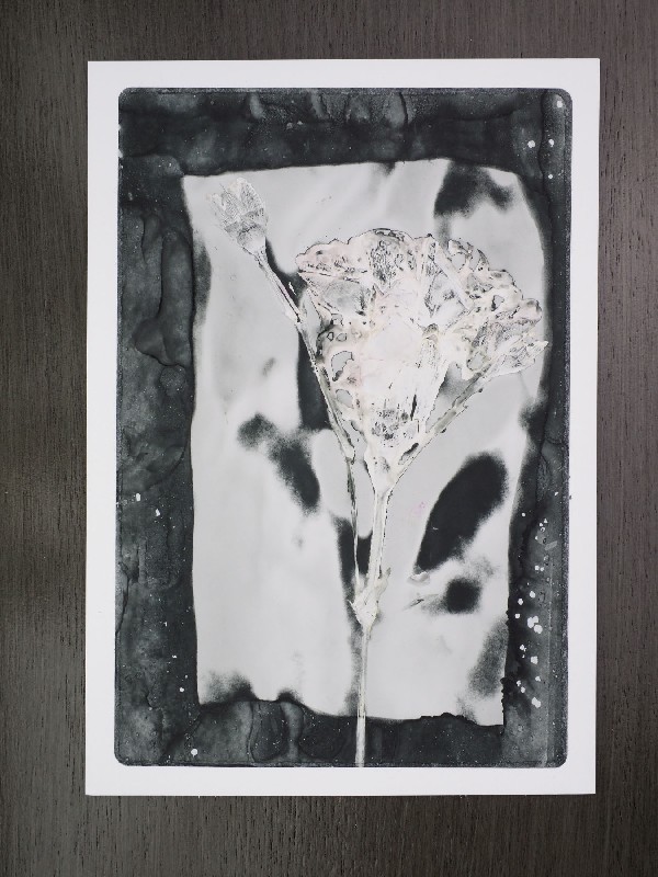 thermal-postcard4.JPG
