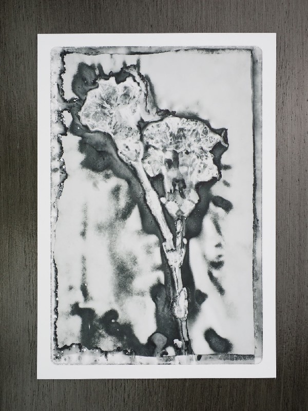 thermal-postcard40.JPG
