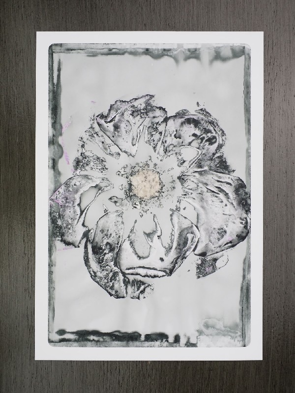 thermal-postcard41.JPG