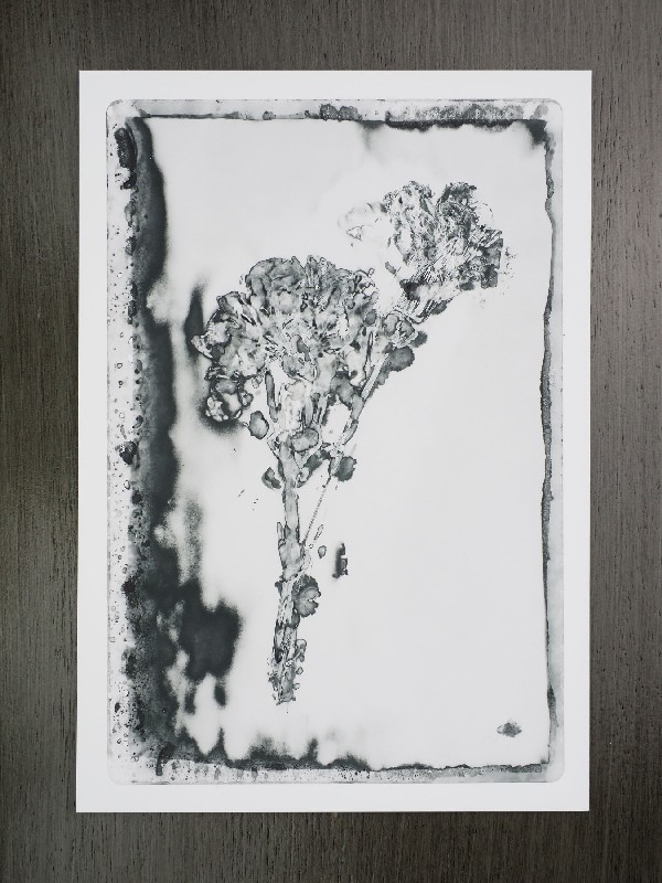 thermal-postcard42.JPG