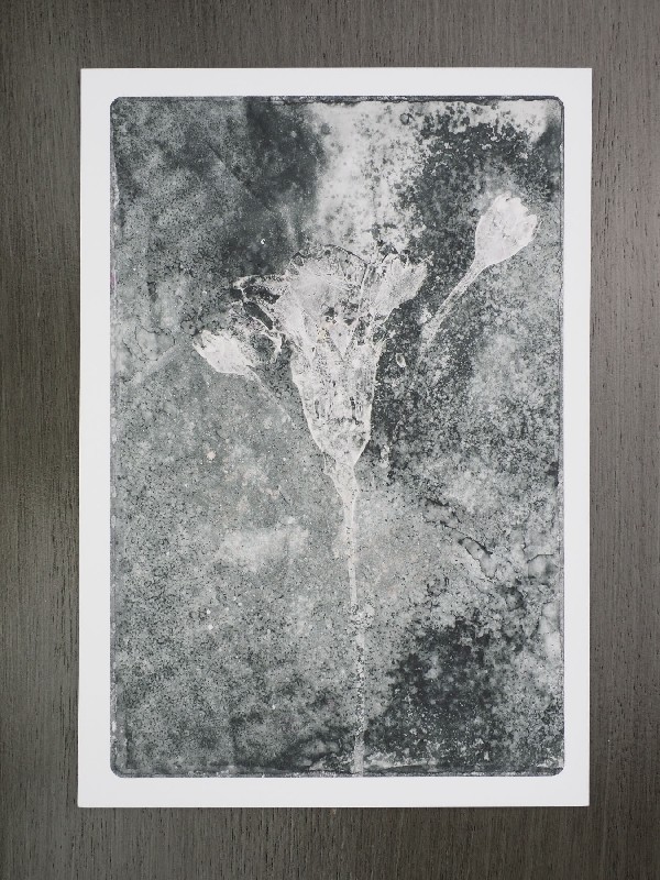thermal-postcard44.JPG