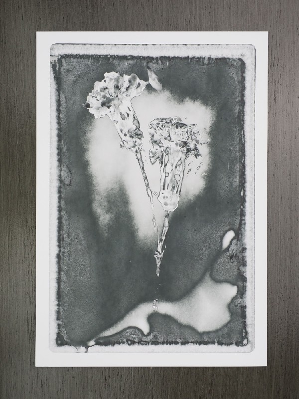 thermal-postcard45.JPG