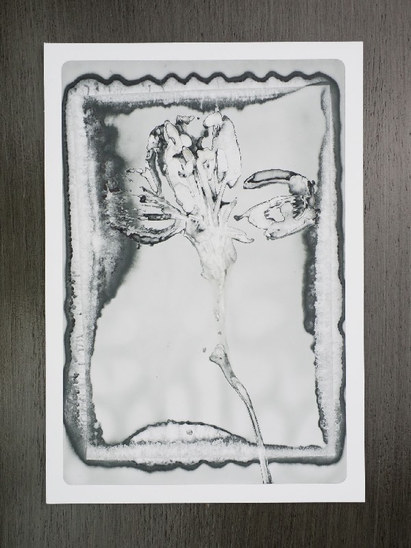 thermal-postcard46.JPG