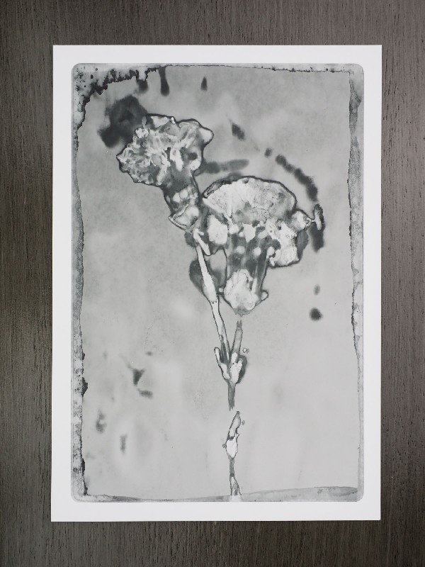 thermal-postcard48.JPG