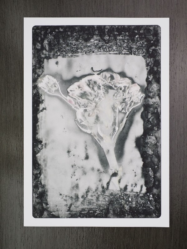 thermal-postcard5.JPG