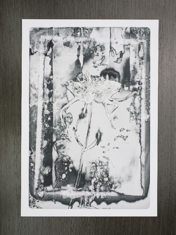 thermal-postcard50.JPG